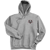 Scary Badgers Super Heavyweight Fleece Hoodie